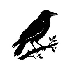 Fototapeta premium Black bird silhouette, crow, raven, perched on branch, vector icon isolated on White Background