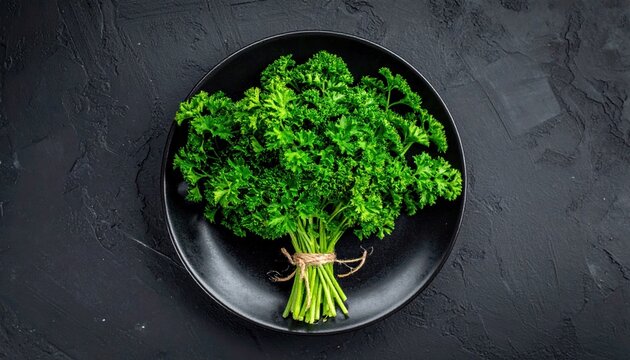 A beautiful flat lay of fresh parsley leaves on a dark plate background surface sheet pile bundle