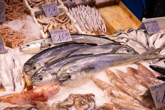 Fresh seafood display at Ballaro Market in Palermo, Sicily