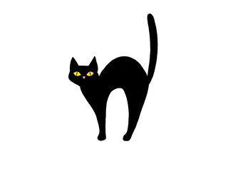 Black cat © พรชนก วิษณุพรชนินทร์