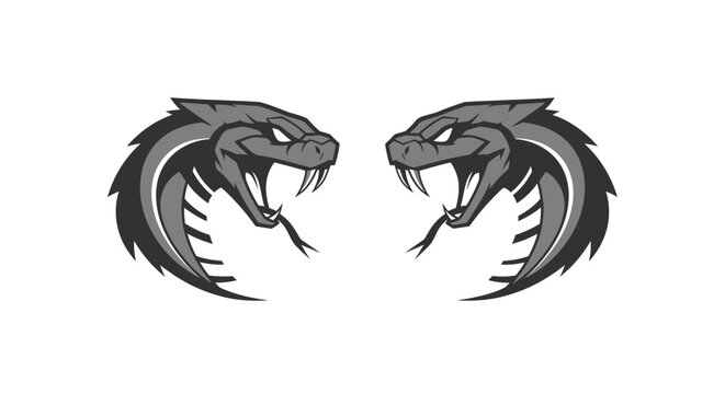 Two Fierce Snake Heads with Open Mouths and Fangs.