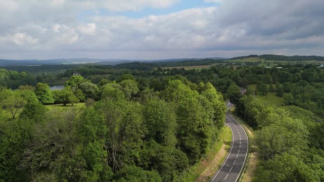 Drone View of Winding Asphalt Road Through Dense Woods