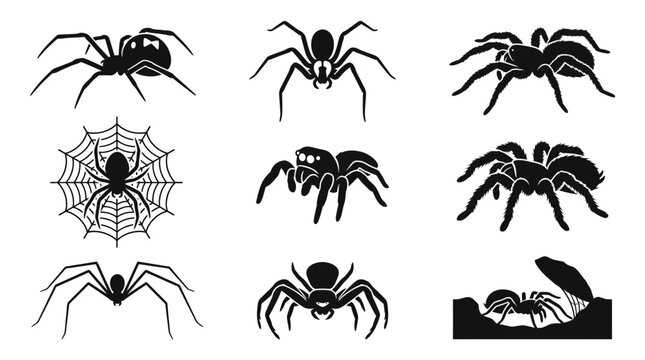 Black Silhouette Spider Glyphs Vector Icons Set. Nature Arachnid Creepy Crawly Collection.