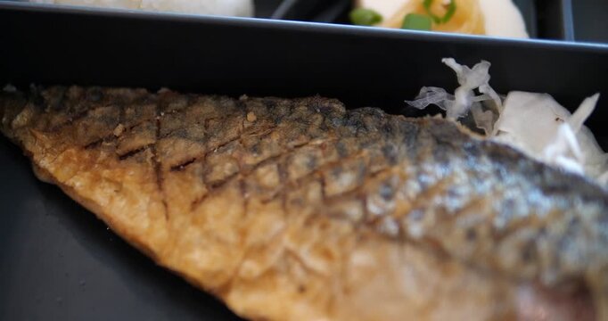 Close up of grilled saba mackerel fish with salt in bento box