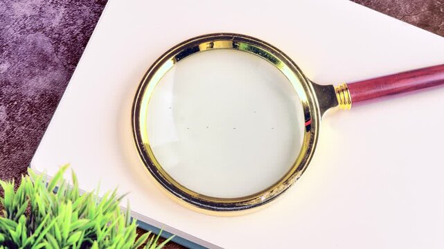 A magnifying glass shows the word growth in different ways. Each frame highlights the word in a new style. The focus is clear and engaging