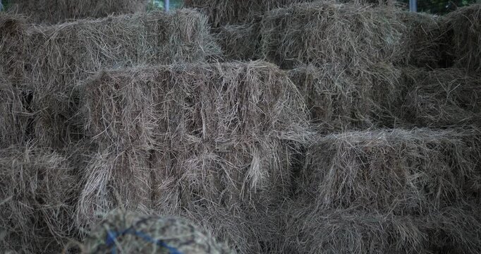 Close up of stacked rectangular straw bales in storage