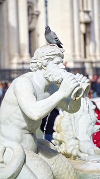 Roma, Italy. February 15, 2026, A curious pigeon perching on the head of the Triton statue from the Fountain of the Moor in the famous Piazza Navona, a UNESCO World Heritage Site
