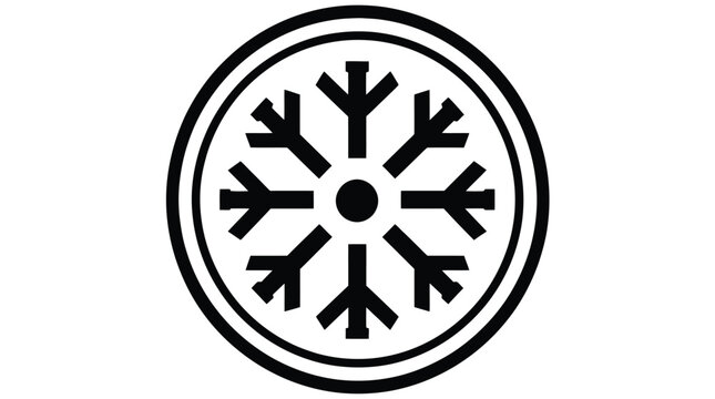 Symmetrical snowflake shown within concentric circles