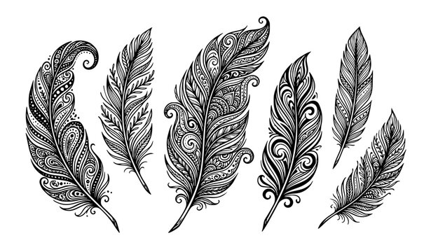 Stylized feather vector set with artistic flowing pattern designs