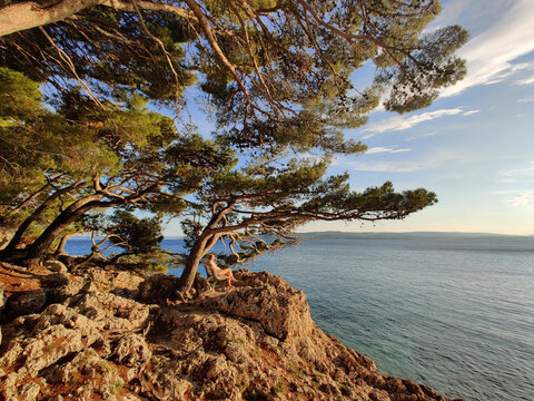 Pensive woman on vacations, sitting and relaxing under large pine tree on bench by dip blue sea enjoying beautiful sunset light in Brela, Makarska region, Dalmatia, Croatia.