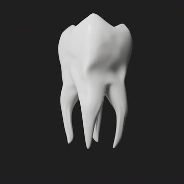 Clean minimalist human tooth structure model for dental clinic marketing