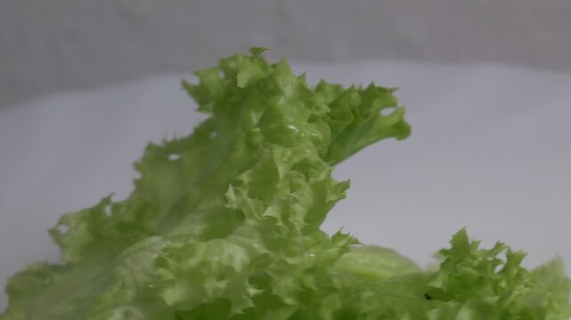 Close-up of fresh green lettuce leaves rotating on a white plate, showcasing their crisp curly edges and vibrant textured surface under bright lighting.