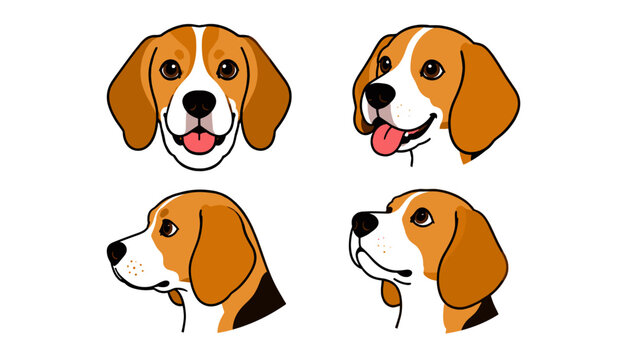 Beagle dog head set in different angles vector illustration