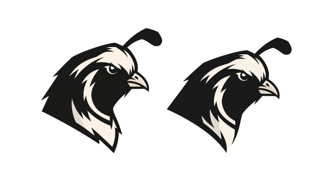 Black and white illustration of two quail heads.