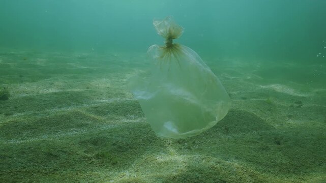 Old disposable plastic bag drifting above sandy seafloor covered with brown biofilm: immense colony of unicellular algae synthesizing multitude of tiny bubbles of oxygen silvering in sunshine. Ecology