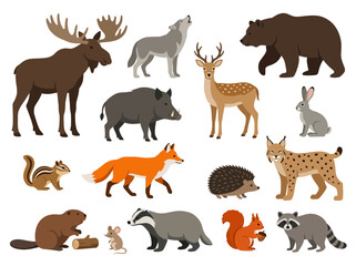 Obraz premium Collection of diverse woodland forest animals illustrated in a charming cartoon style on a clean background