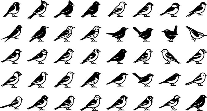 Ornithology and Wild Bird Species Solid Icon Set Featuring Sparrows Finches Robins Blue Jays Thrushes and Varied Songbird Silhouettes for Nature and Wildlife Designs