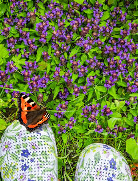 Gartenschuhe in einer gr&uuml;nen Blumenwiese mit einem Schmetterling