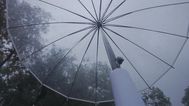 POV shot: Raindrops falling on transparent umbrella dome against background of gray sky and treetops. Walks with transparent parasol overhead during downpour, drops flow down its clear canopy 