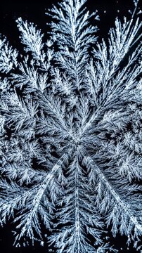 Macro Ice Crystal Formation Timelapse Abstract Fractal Pattern - Detailed close-up of intricate ice crystals forming in a timelapse sequence against a dark background.