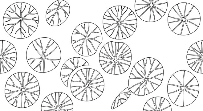 Minimalist architectural tree symbols in top view, black and white landscape plan vector icons, overhead garden vegetation sketches for site mapping