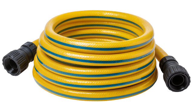 Isolated coiled yellow garden hose with blue stripes and black plastic connectors, ready for use