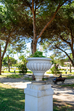 A sunlit shot of a large white stone ornamental urn planter atop a pedestal in the foreground, set against a shady park with green lawns, stone paths, a wooden bench, and pine trees casting shadows.