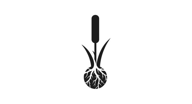 Illustration of a cattail plant with roots and leaves.