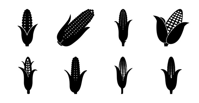 Black and white corn cob icons set - A clean set of stylized black corn cob icons in various patterns, perfect for food, agriculture, or decorative designs.