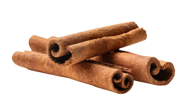 Isolated fragrant natural cinnamon sticks aromatic spice for culinary and festive dishes