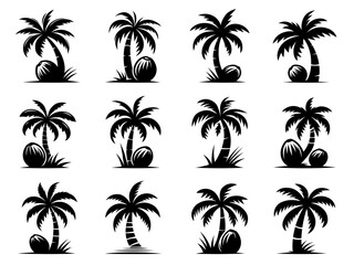 Fototapeta premium Palm Tree Silhouette Icon Set with Coconuts, Tropical Beach Vector Collection