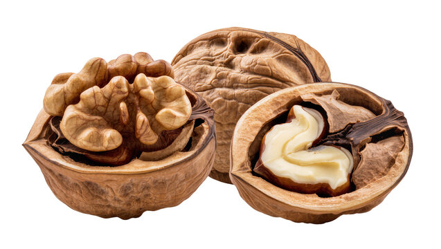 Isolated fresh walnuts whole, cracked, and kernel healthy snack food ingredient.