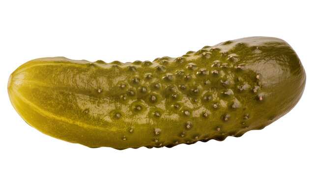 Isolated single green pickled gherkin cucumber vegetable, healthy snack food ingredient