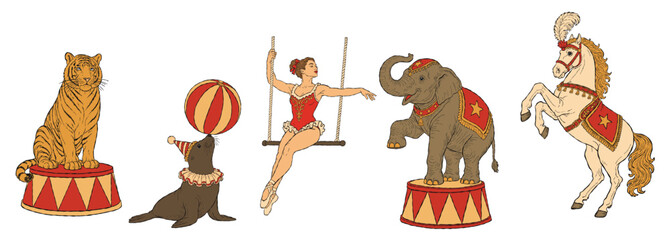 Vintage circus illustration collection featuring a majestic tiger, playful sea lion balancing a ball, elegant aerial acrobat, decorative circus elephant, and rearing circus horse  © MoonS 