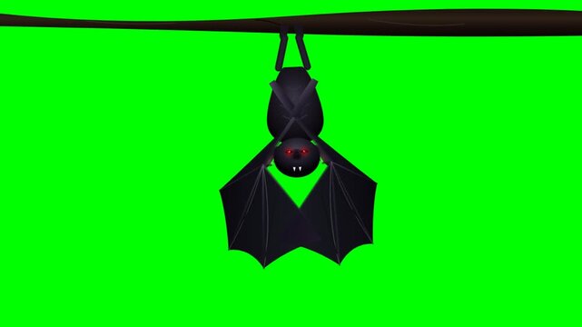 Animated cartoon bat hanging on branch on green screen