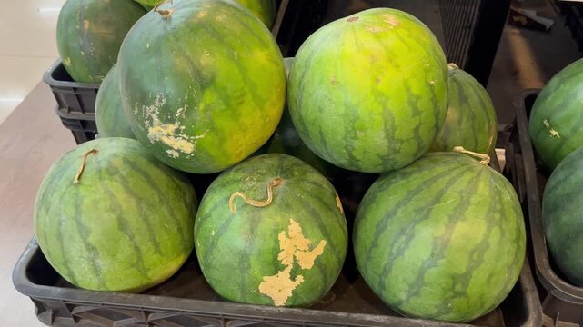 Fresh organic green and striped watermelons on market display