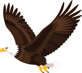 Obraz premium bald eagle flying with spread wings side profile facing left detailed