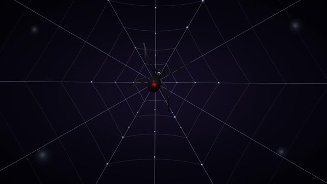 Black widow spider waiting on its web at night