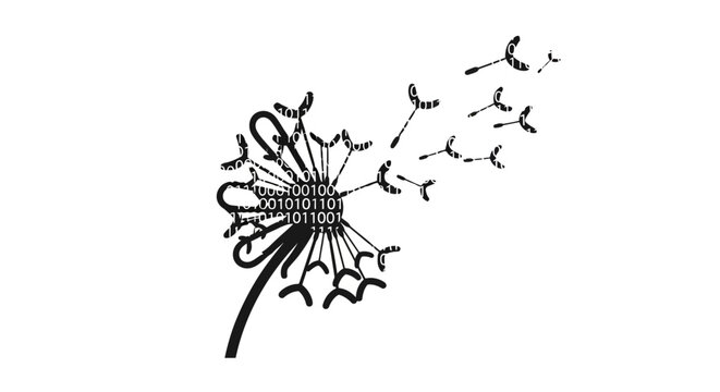Black and white dandelion with seeds blowing away.
