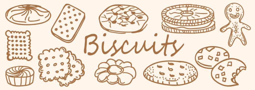 Biscuits vector elements collection. Hand drawn brown line art doodle illustration of sweet cookies, gingerbread man, crackers, and sandwich biscuits.