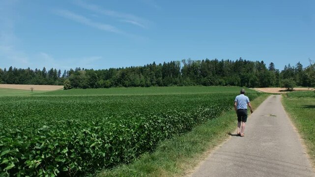 Mann spaziert Alleine auf dem Lande in der Freizeit, Bewegung bei hei&szlig;en Temperaturen im Hochsommer