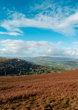 A breathtaking landscape view of the Brecon Beacons National Park in Wales, featuring a vast, rust-colored bracken-covered moorland in the foreground overlooking a verdant valley, rolling hills.