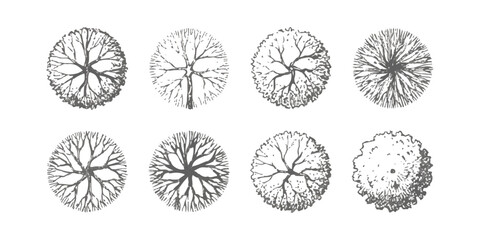 Set of hand drawn tree top view icons for architectural site plan and landscape design © md