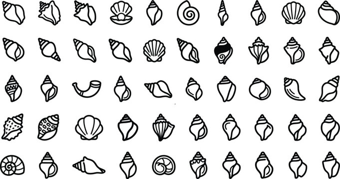 Collection of various seashell line art icons isolated on transparent background design.