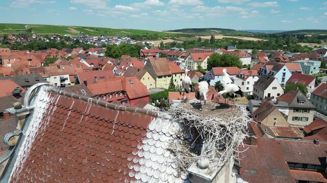 Aerial View of a Stork Family in a Nest on a Rooftop tower in a Historic Old Town in Germany.