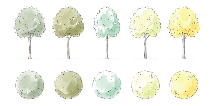 Set of sketch style hand drawn deciduous trees in front and top view with soft watercolor colors