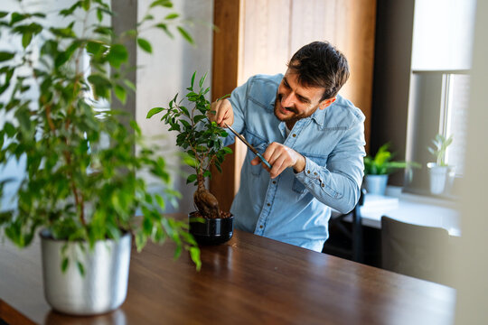 A man trimming indoor plants, enjoying home gardening and relaxation at home, peaceful weekend