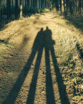 Sunset Hug, Long Shadows of a Couple on a Woodland Path