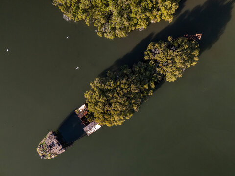 Shipwreck with forest growing out of its rusty hull on sunny day from top down aerial view. at angle. Wreck  located in Homebush Bay, Parramatta river, Sydney Australia.

