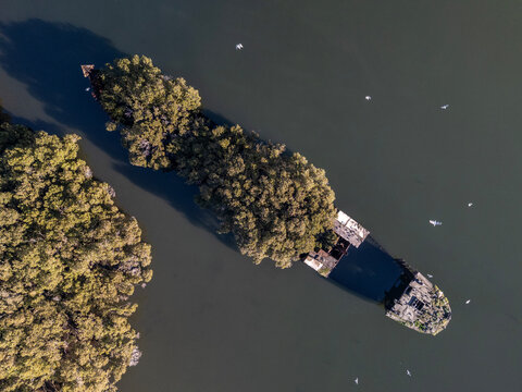 Shipwreck with forest growing out of its rusty hull on sunny day from top down aerial view at angle. Wreck in located in Homebush Bay, Parramatta river, Sydney Australia.
